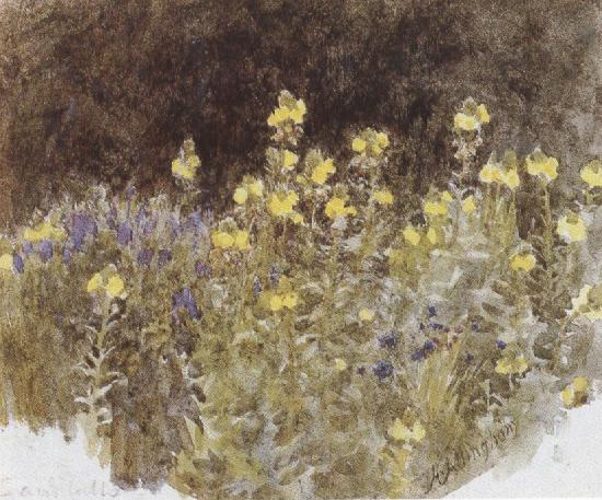 Helen Allingham,R.W.S Studies of Flowers (mk37) France oil painting art
